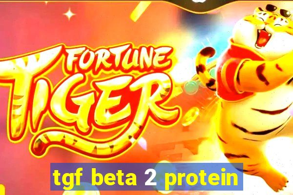 tgf beta 2 protein